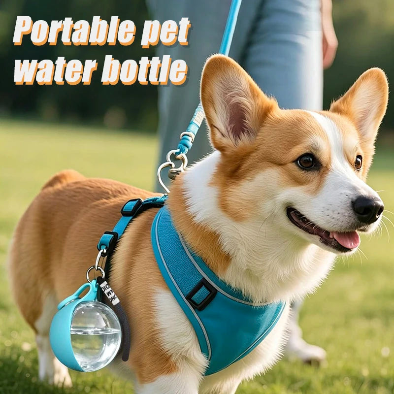 Stainless steel pet water bottle with pink and blue foldable bowls for outdoor preparation,